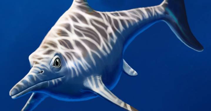 Eternauta patagónico, el nuevo ictiosaurio con ojos gigantes y mandíbula ultrarrápida