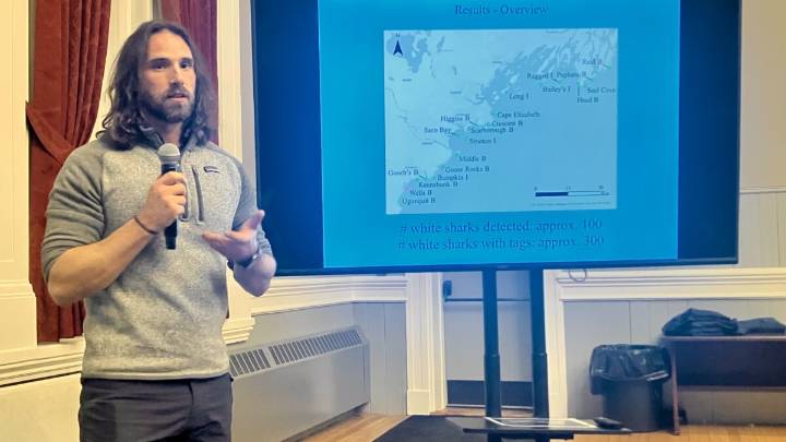 Maine's shark specialist wants the public to help state decide how to manage sharks