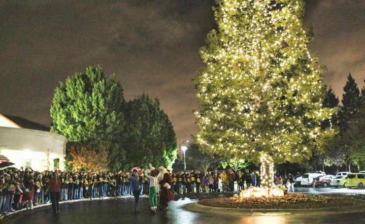 Cupertino kicks off the holidays with Community Tree Lighting