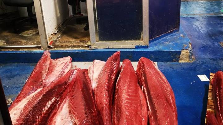 Incautados en Sevilla más de 1.000 kilos de atún rojo, merluza o salmonetes no aptos para el consumo
