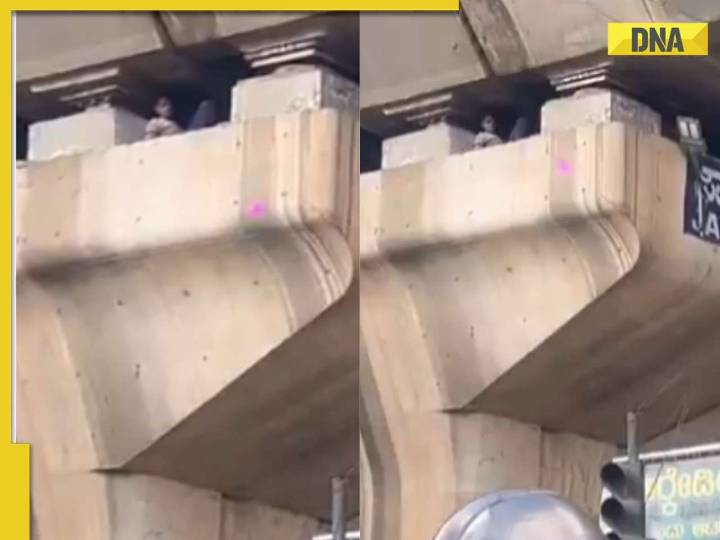 ‘Is this even real?’ Viral video shows man resting inside flyover pillar in Beng