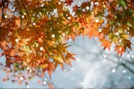 Kentucky's 2025-26 Frymire Winter Forecast Predicts More Snow