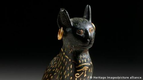 ADN antiguo cambia todo lo que sabíamos sobre los gatos