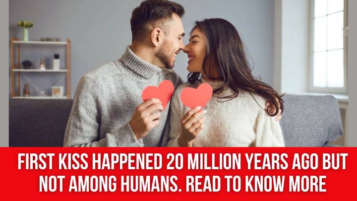 First Kiss Happened 20 Million Years Ago but Not Among Humans. Read to Know More