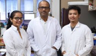 IIT Guwahati researchers develop novel material to detect fuel adulteration and clean oil spill