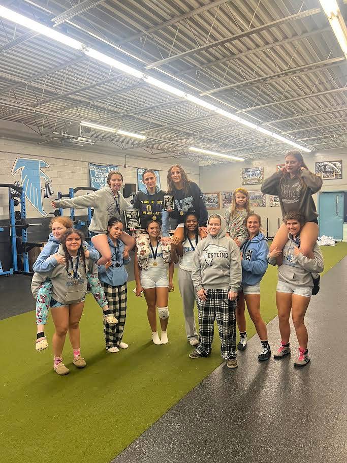 High school girls wrestling: Falcons win another tournament