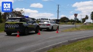 Driver dies after two-vehicle collision near Allendale, north of Ballarat