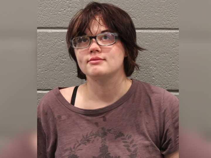 'Slender Man' stabbing assailant to face extradition hearing in escape case