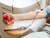 Dona sangre, regala esperanza: un gesto que salva vidas