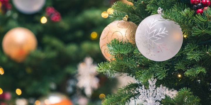 Annual SALT Christmas Party Set for Dec. 4