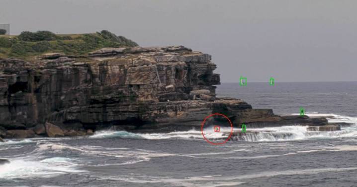 AI camera trial to enhance safety for rock fishers at Kiama