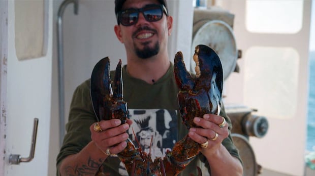 Some commercial lobster fishers say Indigenous treaty fishing threatens stocks. Government memo says otherwise