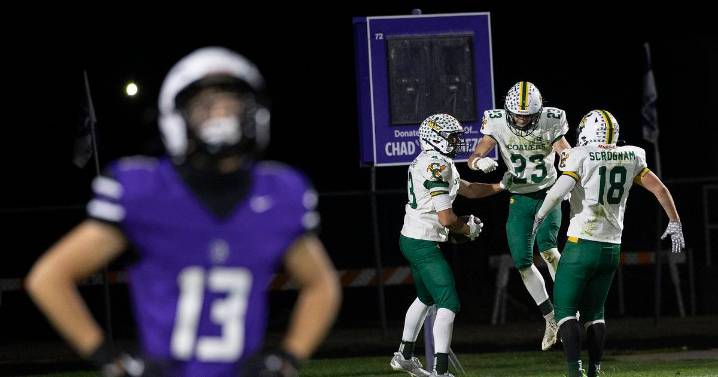 Coal City starts fast, closes strong to defeat Dixon in second round of Class 4A playoffs