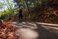 Suffer six cold-weather Bay Area hikes and reap the rewards