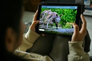 India mega-zoo in spotlight again over animal acquisitions