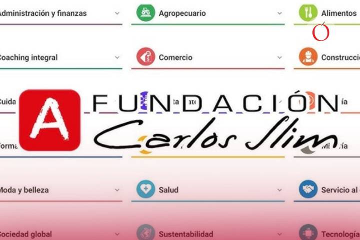 ¿Andas sin chamba? Slim ofrece estos cursos gratuitos para encontrar empleo