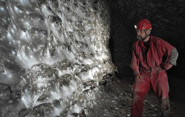 The world’s biggest spider web has been found in a cave – and it’s the stuff of nightmares