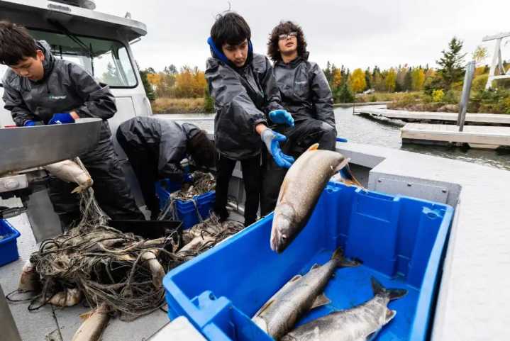Fond du Lac Band resumes tradition of harvesting Lake Superior trout to continue culture, feed students