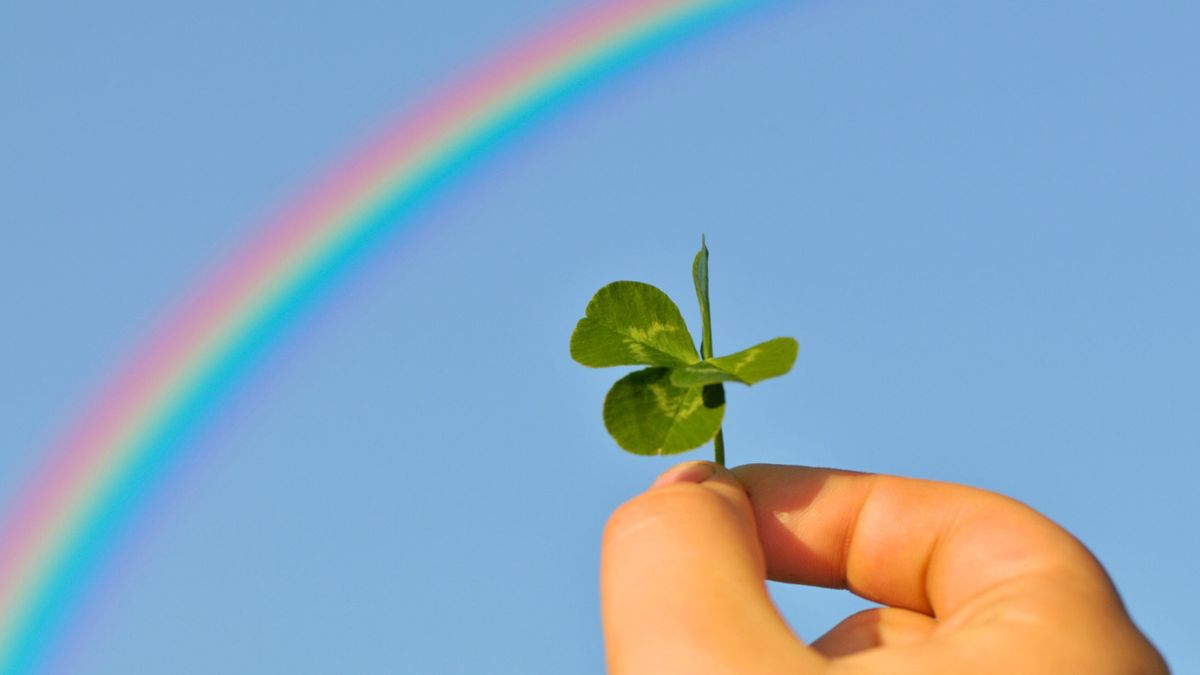 Descubre cuál es el color de la suerte para este viernes 21 de noviembre