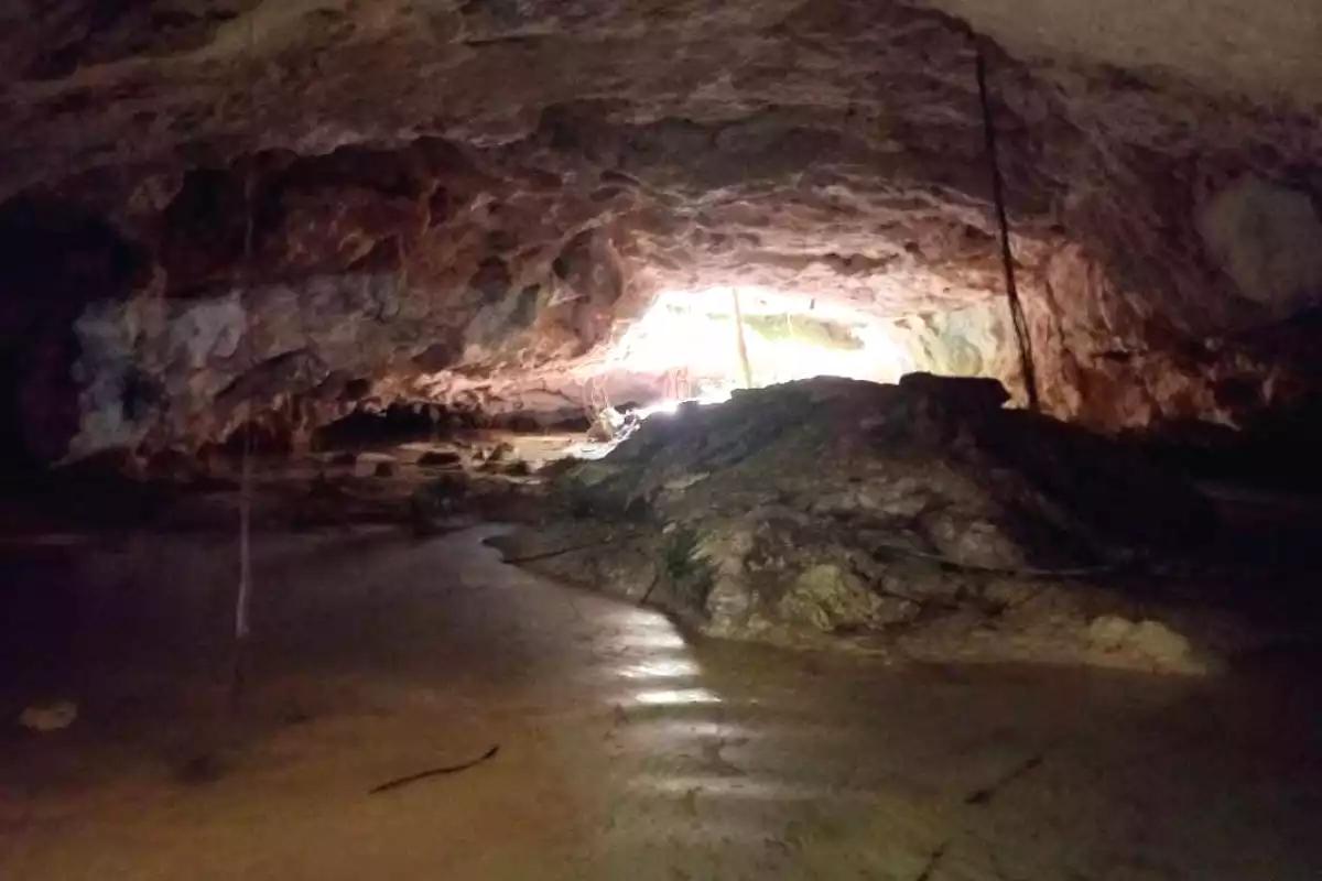 Confirman alto nivel de contaminación en cenote del parque La Madre en Playa del Carmen