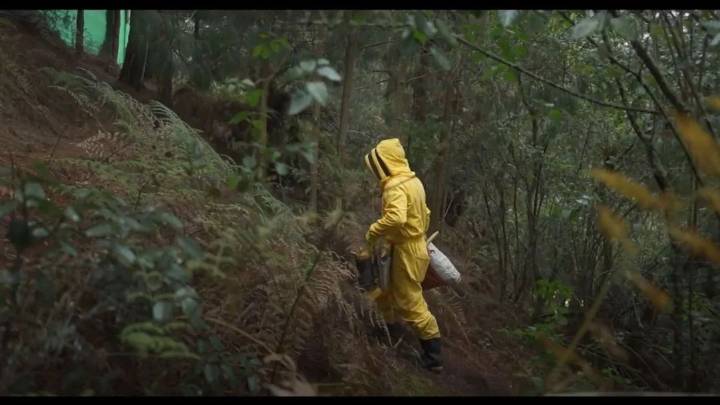 Más de 50.000 personas fueron capacitadas en apicultura en Colombia