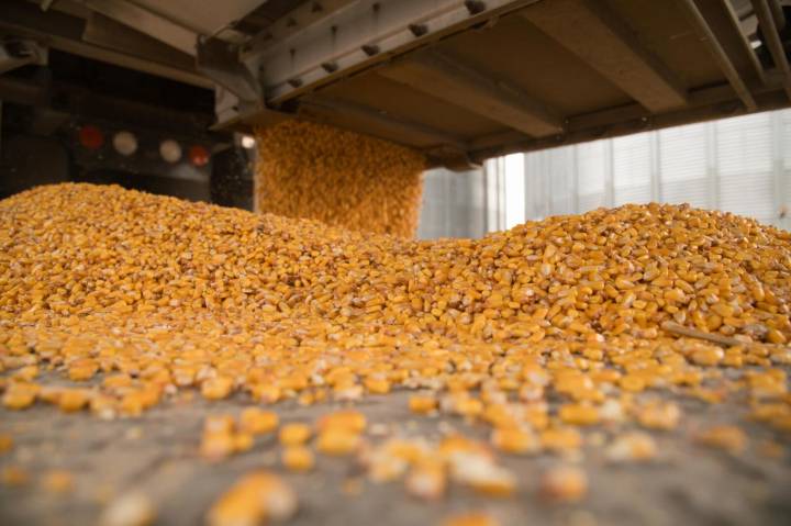 North Dakota Agricultural Association, North Dakota Grain Dealers Association plan merger