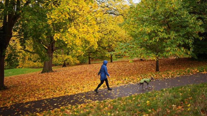 Temperatures in UK expected to be warmer than usual next week