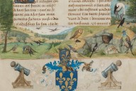 Bird sex fascinated medieval thinkers as much as people today