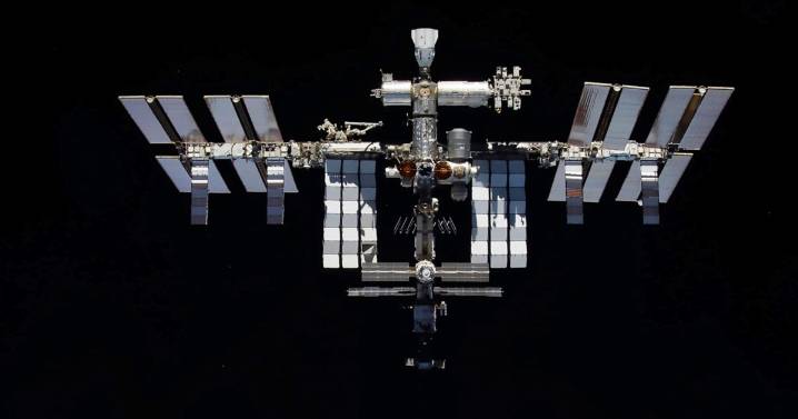 Moss survived in space for nine months, study finds