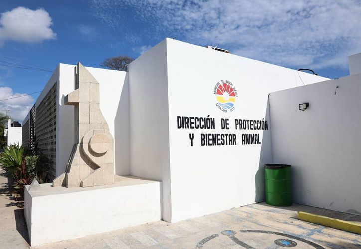 ‘Mal desempeño’: Remueven a titular de Bienestar Animal en Cancún