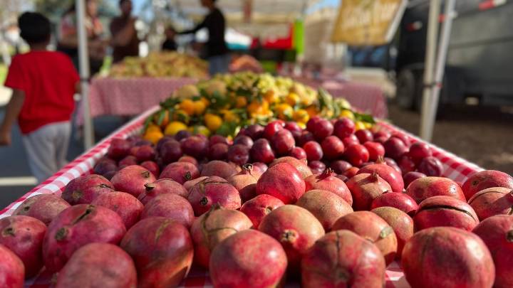 Some San Diego farmers markets accept EBT cards for food