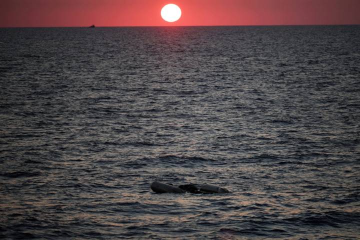 At least 42 migrants presumed dead after boat capsizes off Libyan coast, UN says
