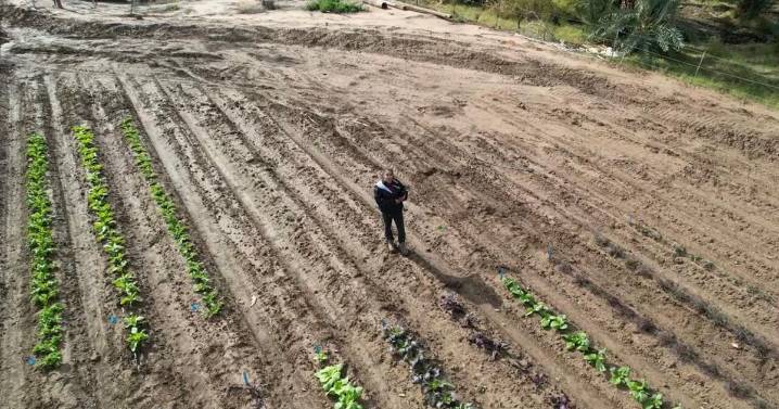 Yuma Ag & You: Understanding urban soil