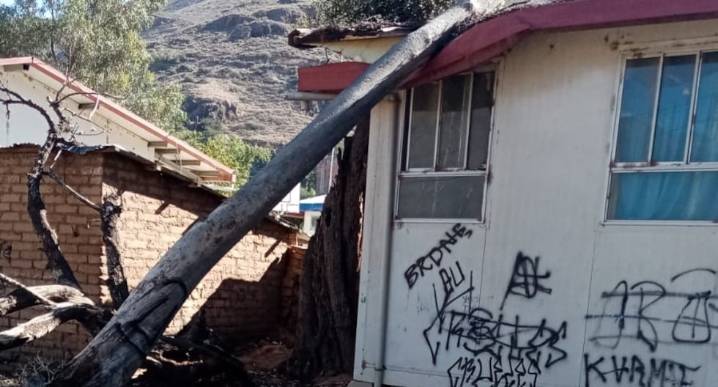 Caída de árbol en aula de inicial desata críticas al nuevo director regional de Educación de Huánuco