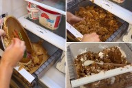 Exclusive | Influencer goes viral for serving scoops of mushed-up pumpkin pie out of her refrigerator drawer