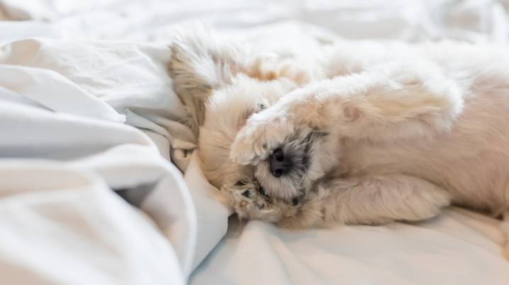 Was daylight saving time change last night? What we know