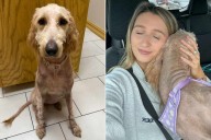 Woman Takes Action After Seeing Post About ‘Severely Neglected’ Dog (Exclusive)
