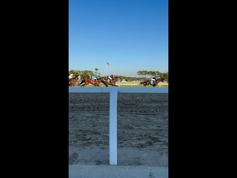 Opening weekend for centennial Tampa Bay Downs season
