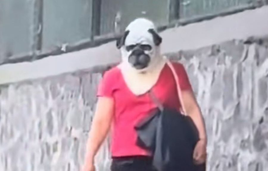 Mujer con máscara de perro sorprende en redes