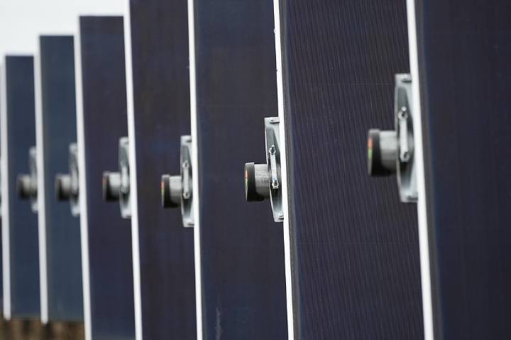 Treaty Oak’s Redfield Solar Project to supply Google data centers