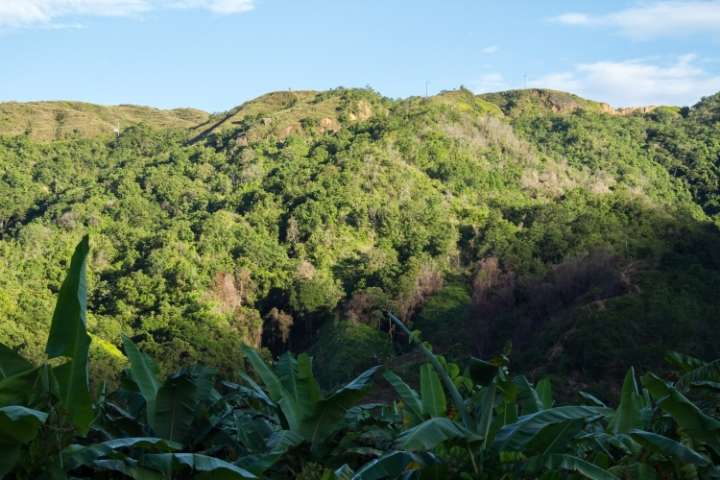 Cinco datos que debes conocer sobre Herencia Colombia