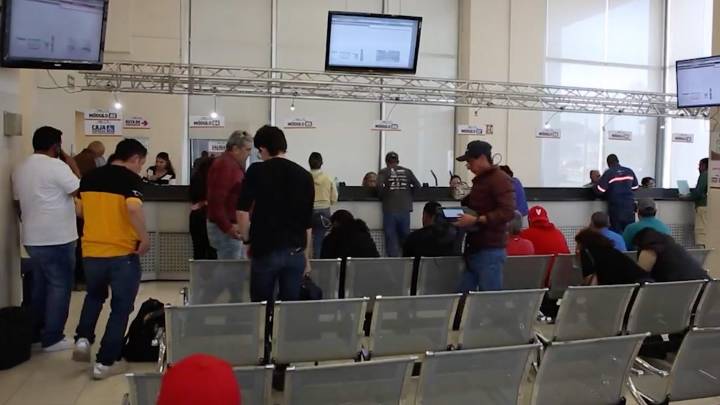 Domingo, último día de Buen Fin; siguen descuentos en placas y licencias