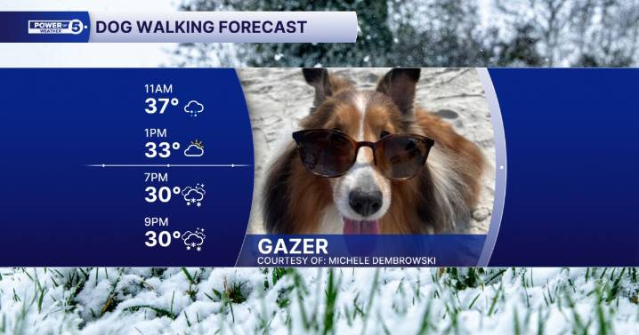 Sunday Dog Walking Forecast: Windy once again with lake effect snow for some
