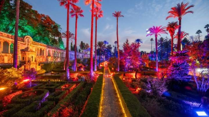 Así será el relevo de 'Luzir' para iluminar la Navidad en Zaragoza