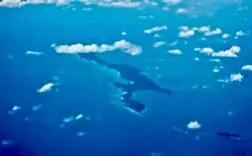 Operation Castle Bay: Six Myanmarese Poachers Nabbed With Sea Cucumbers In Andaman And Nicobar Islands