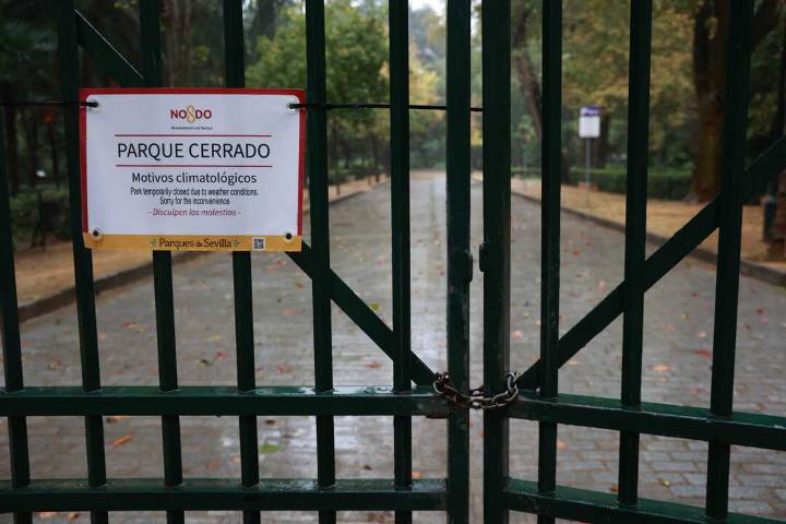 Sevilla activa el Plan de Emergencias ante la previsión de lluvias y fuertes vientos