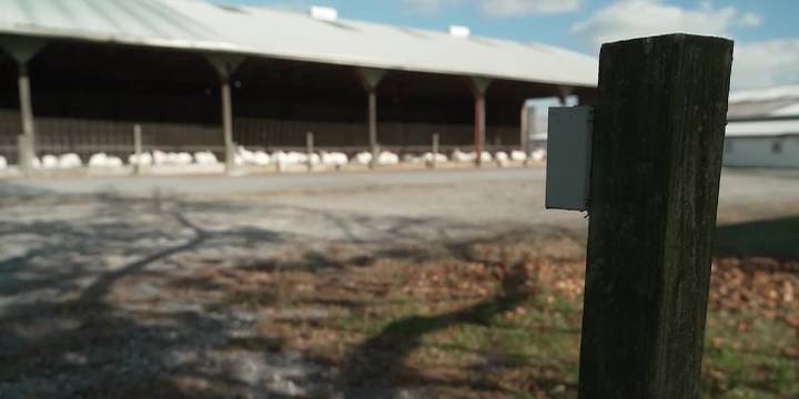 Washington state resident believed to be first to die from rare strain of bird flu