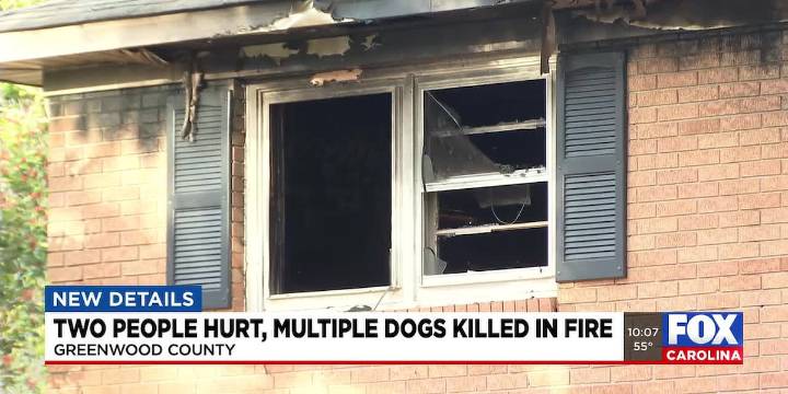 2 people hurt, multiple dogs killed in Greenwood Co. fire