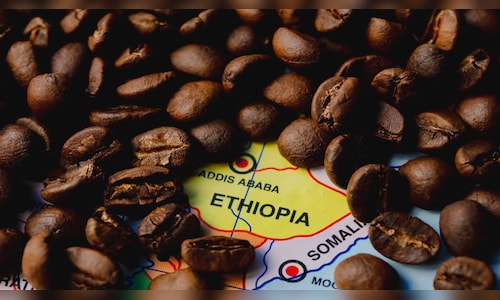 Donald Trump deepens tariff cut on Brazilian Foods as prices mount