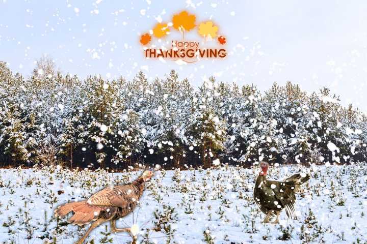 The Storm Considered Kentucky’s Worst Thanksgiving Snowfall